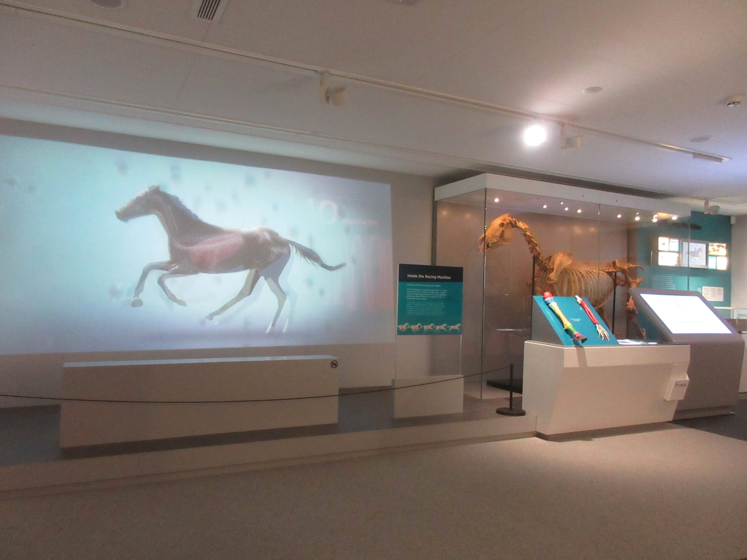 The National Horse Racing Museum - photo by juliamaud